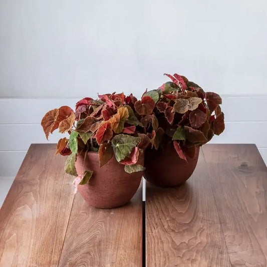 OUTDOOR POT ESPOO TEP20|DOMANI