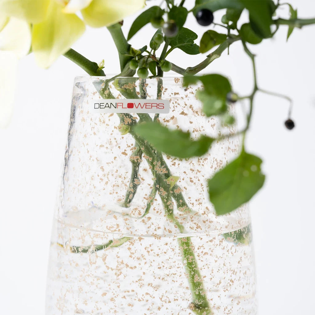 Stromboli XS D7×H16 フラワーベース(ビジュー) |Henry Dean