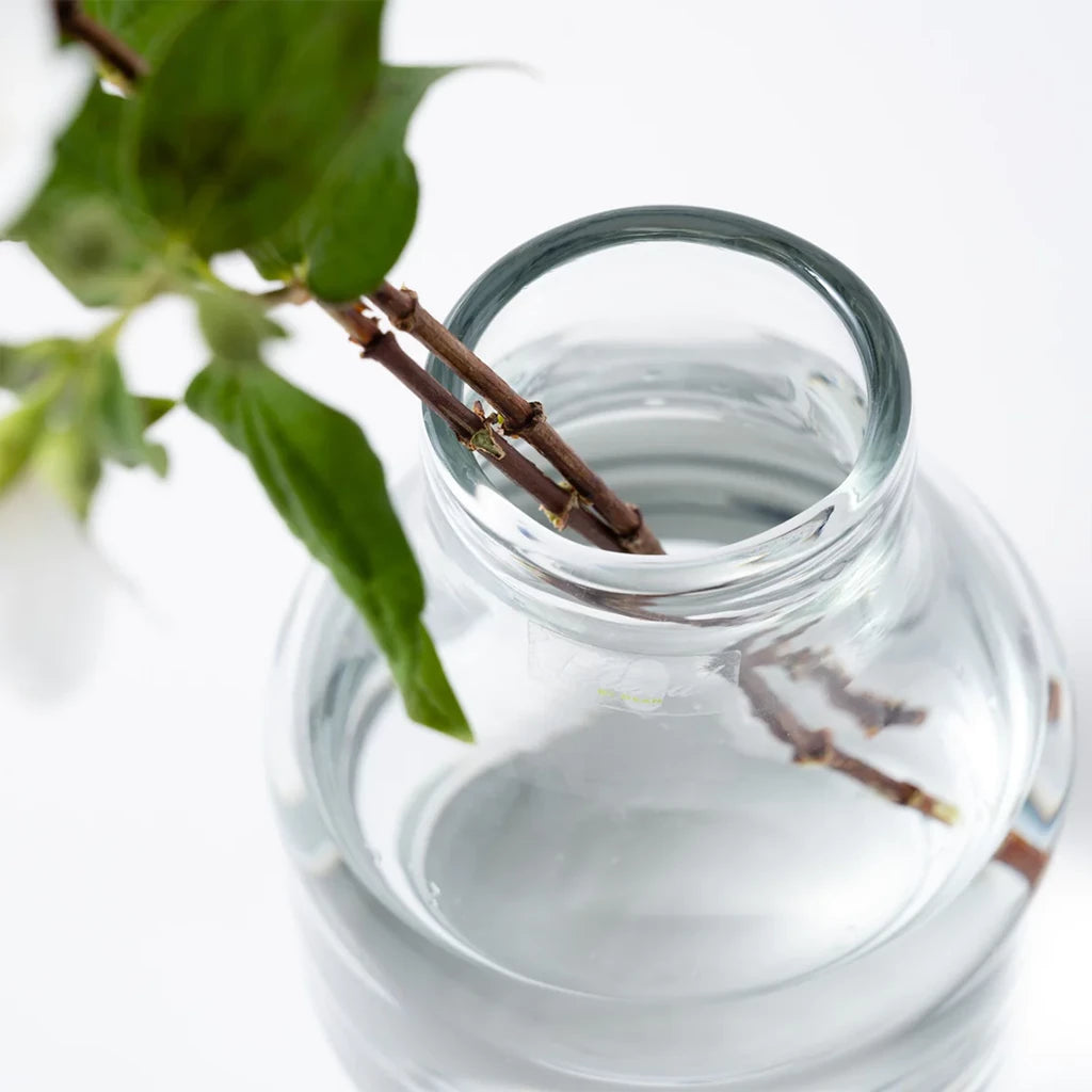 Barbat Sサイズ D12×H17 フラワーベース(クリア) |Henry Dean