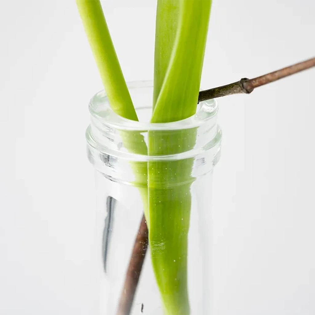 D.Bottle Lサイズ H28cm フラワーベース(クリア) |Henry Dean