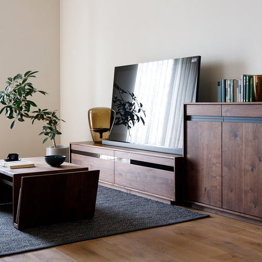 LIBERIA PLUS TV Board