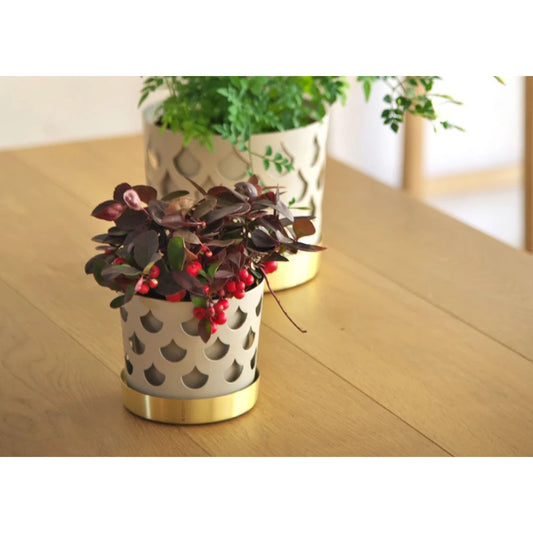 TRIO DROP フラワーポット Small|KLONG