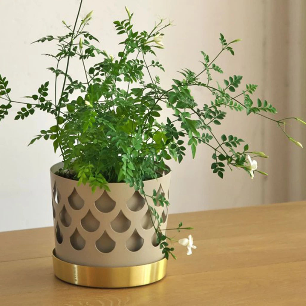 TRIO DROP フラワーポット Medium｜KLONG – PIANO ISOLA