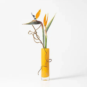 Ian McDonald イアンマクドナルド　ベース　花瓶 Ian McDonald イアンマクドナルドベース花瓶