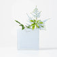 Square XS H12cm フラワーベース（デュー） ｜Henry Dean
