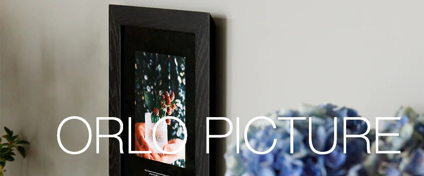 HIRASHIMA ヒラシマ ORLO PICTURE オルロピクチャー A2 ORLO HIRASHIMA ヒラシマ ORLO PICTURE オルロピクチャー A2 ORLO