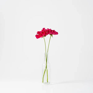 D.Bottle Sサイズ H23cm フラワーベース(クリア) |Henry Dean D.Bottle Sサイズ H23cm フラワーベース(クリア) |Henry Dean