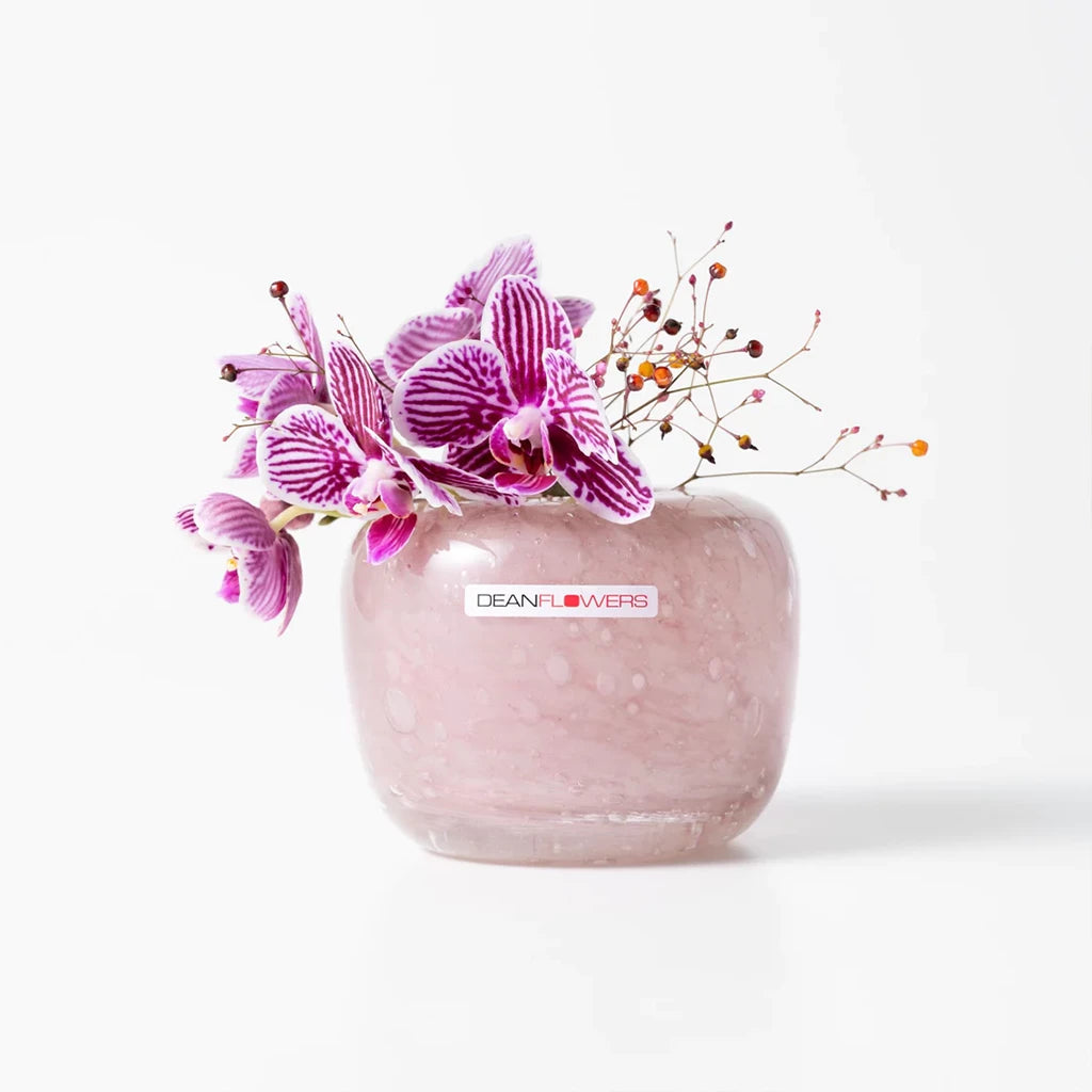 About Henry Dean – PIANO ISOLA About Henry Dean – PIANO ISOLA