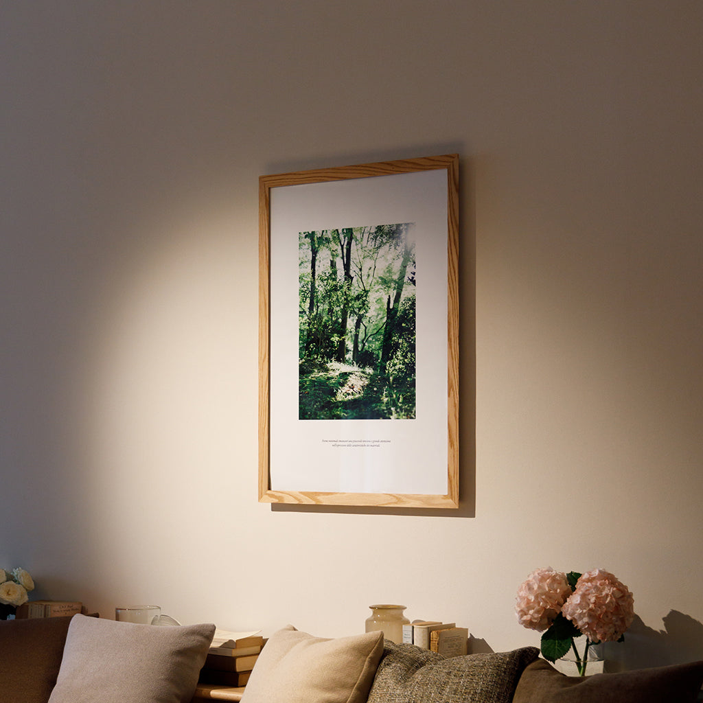 HIRASHIMA LOOK BOOK｜ORLO Picture