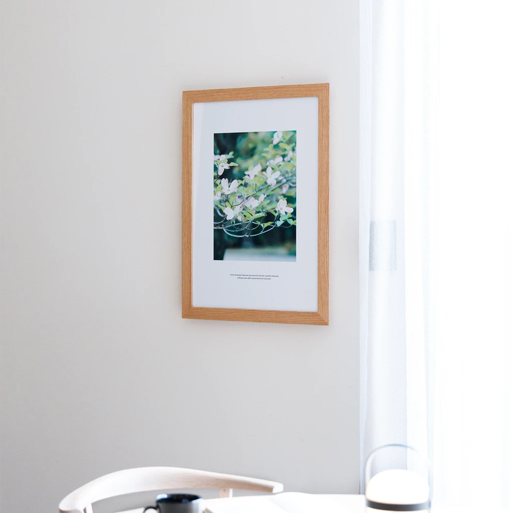 HIRASHIMA LOOK BOOK｜ORLO Picture
