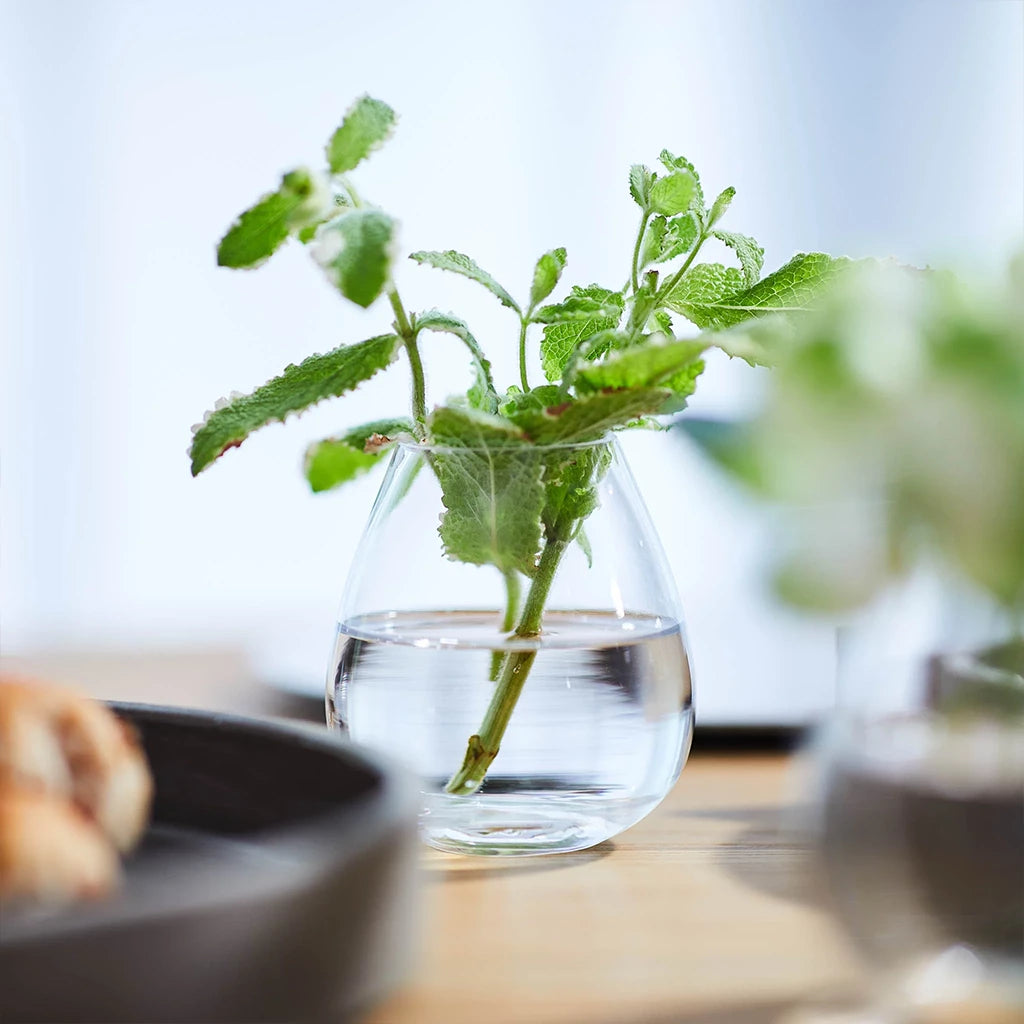 Flower Mini Table Vase W8.5×H9.5cm| LSA International – PIANO ISOLA Flower Mini Table Vase W8.5×H9.5cm| LSA International – PIANO ISOLA